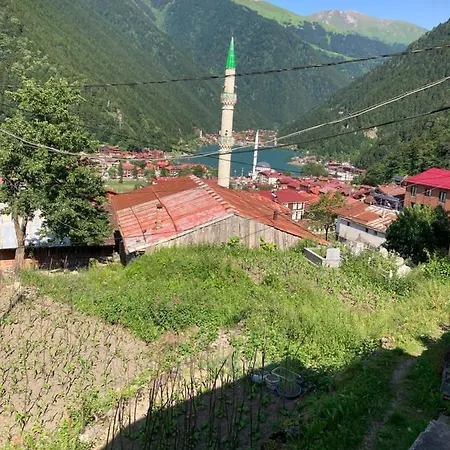 Sefa Apart Apartahotel Uzungöl